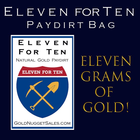 (image for) Now with a 2 Gram Gold Nugget Included in the 11 grams of Gold